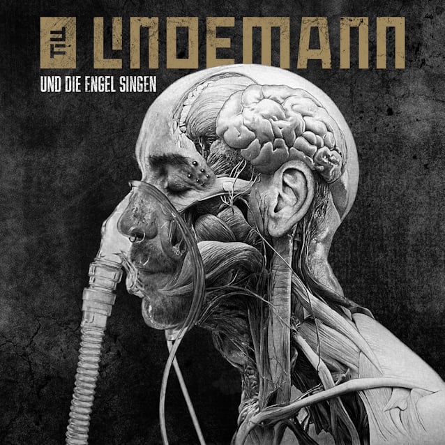 tilllindemannunddie