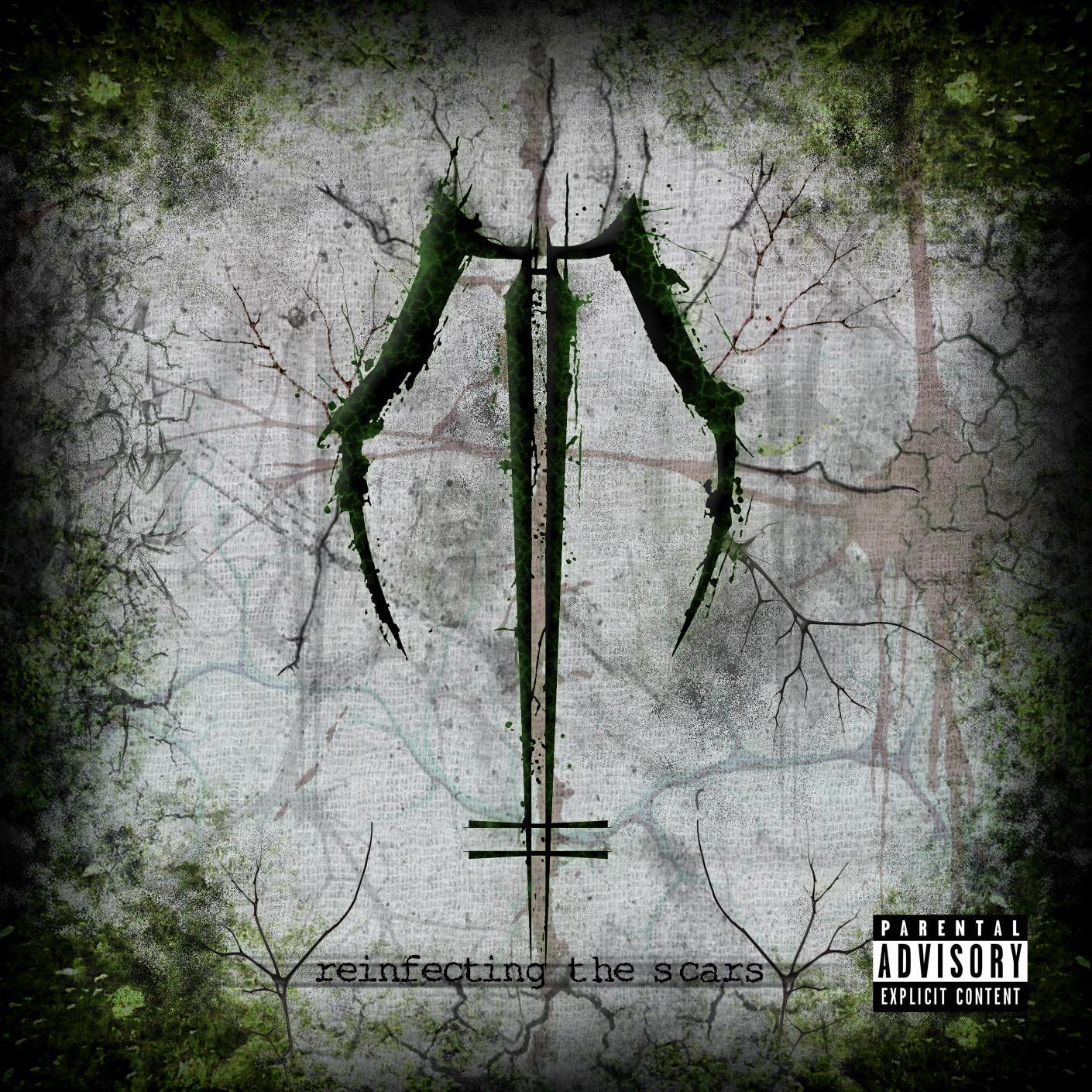 555667671 1302460897996908 353707134164480424 n