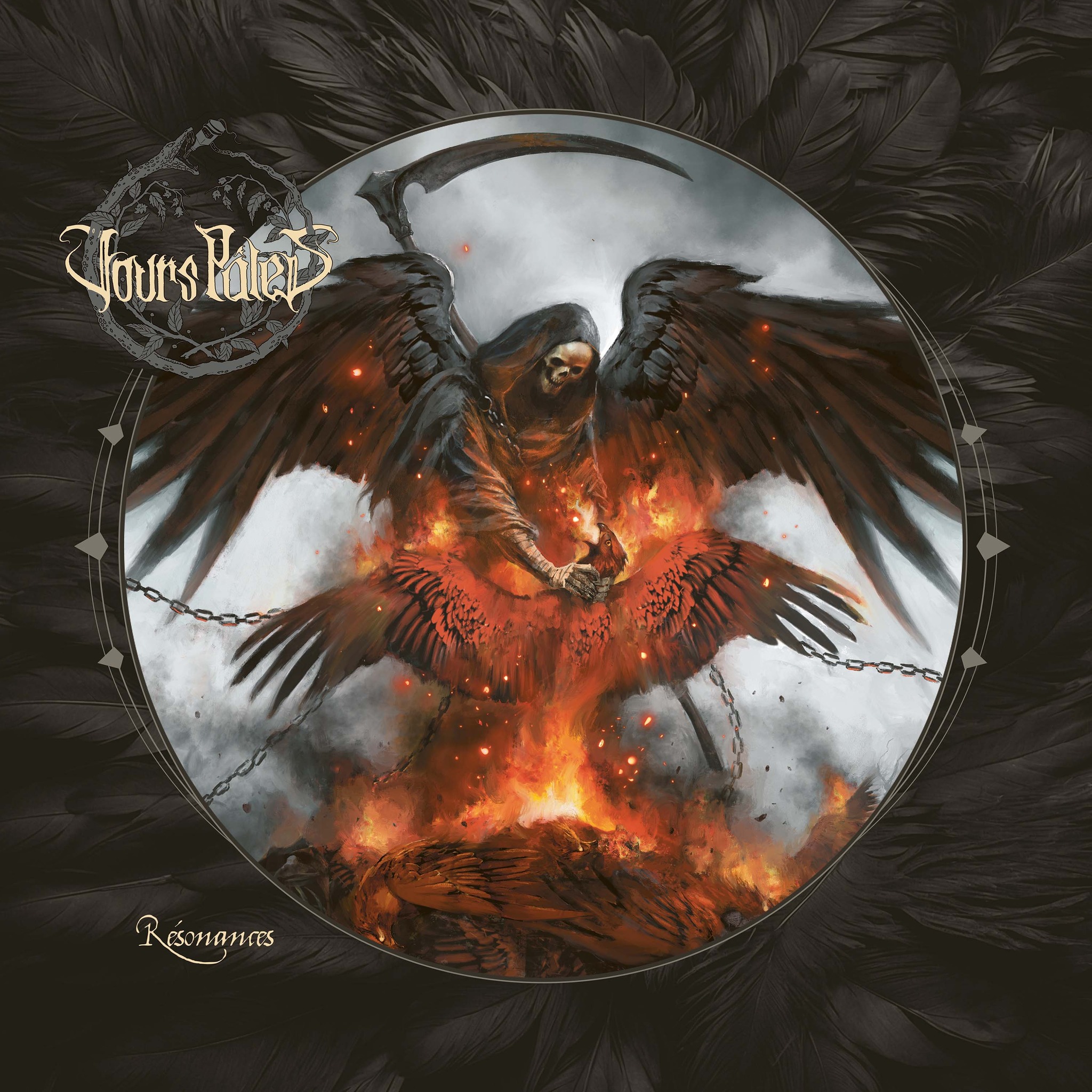 576300515 1217155060443816 6567663574103289597 n