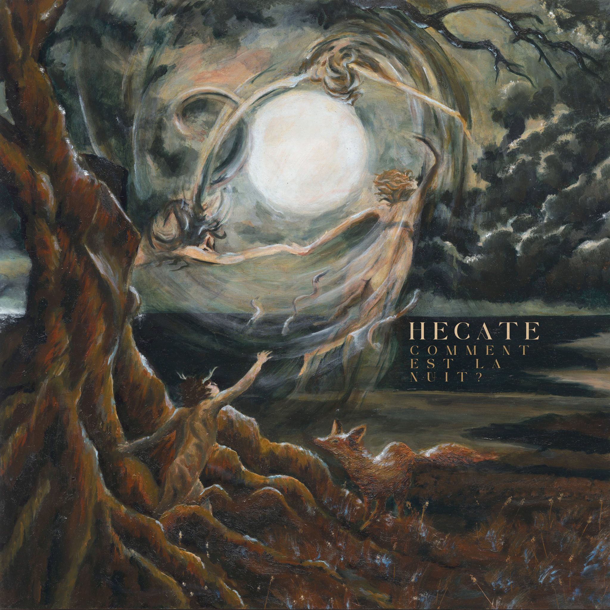 681279964 1611343700991948 432486458229621660 n