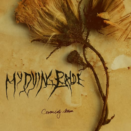 615971429 1460806672070004 3397179534036187339 n