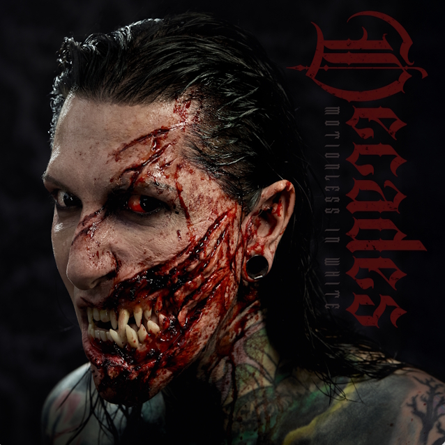 motionlessinwhitedecades